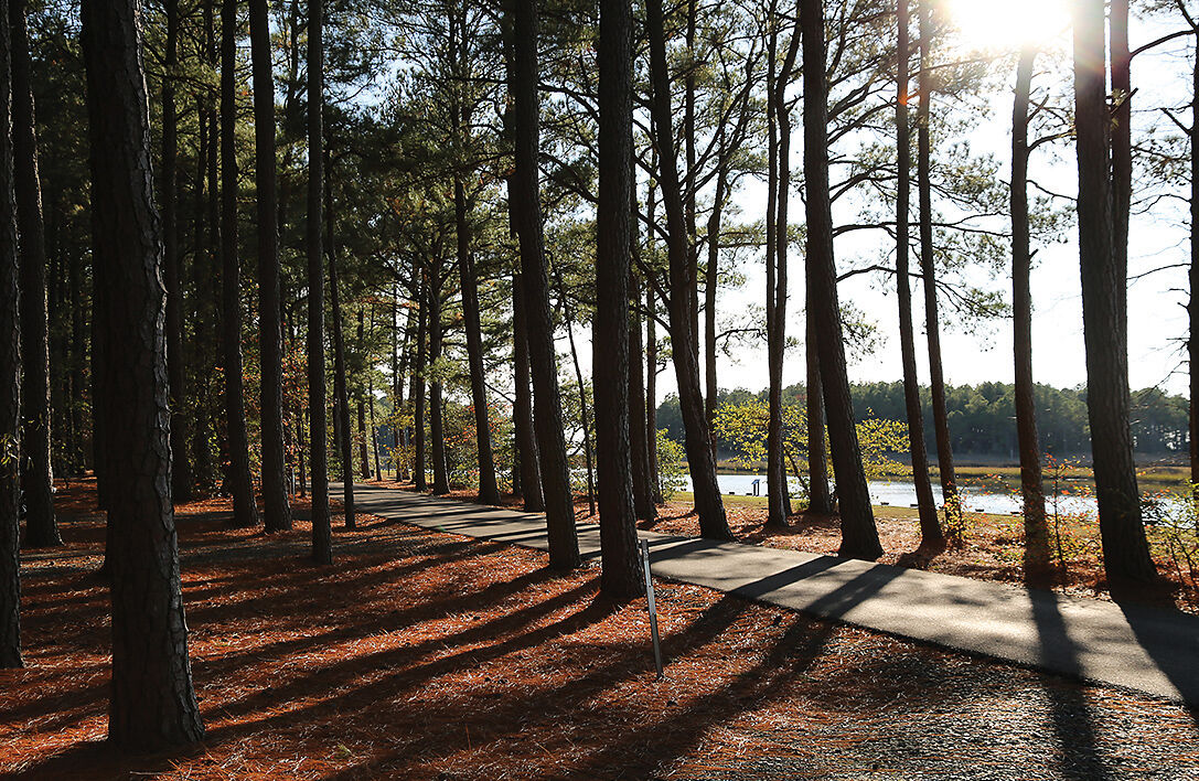 Trail at Janes Island State Park, MD